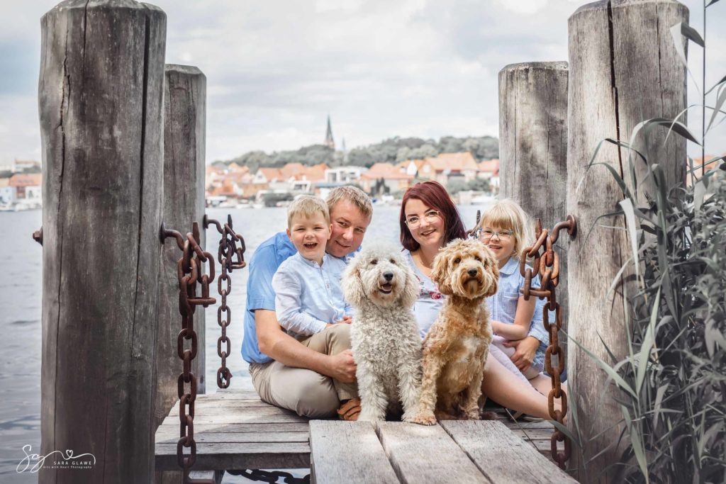 Züchterfamilie Uecker mit 2 Goldenoodle Medium auf einem Steg